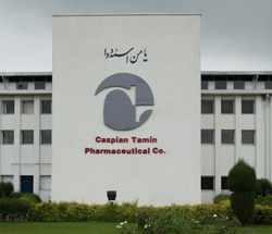 Caspian Tamin Co | Vision